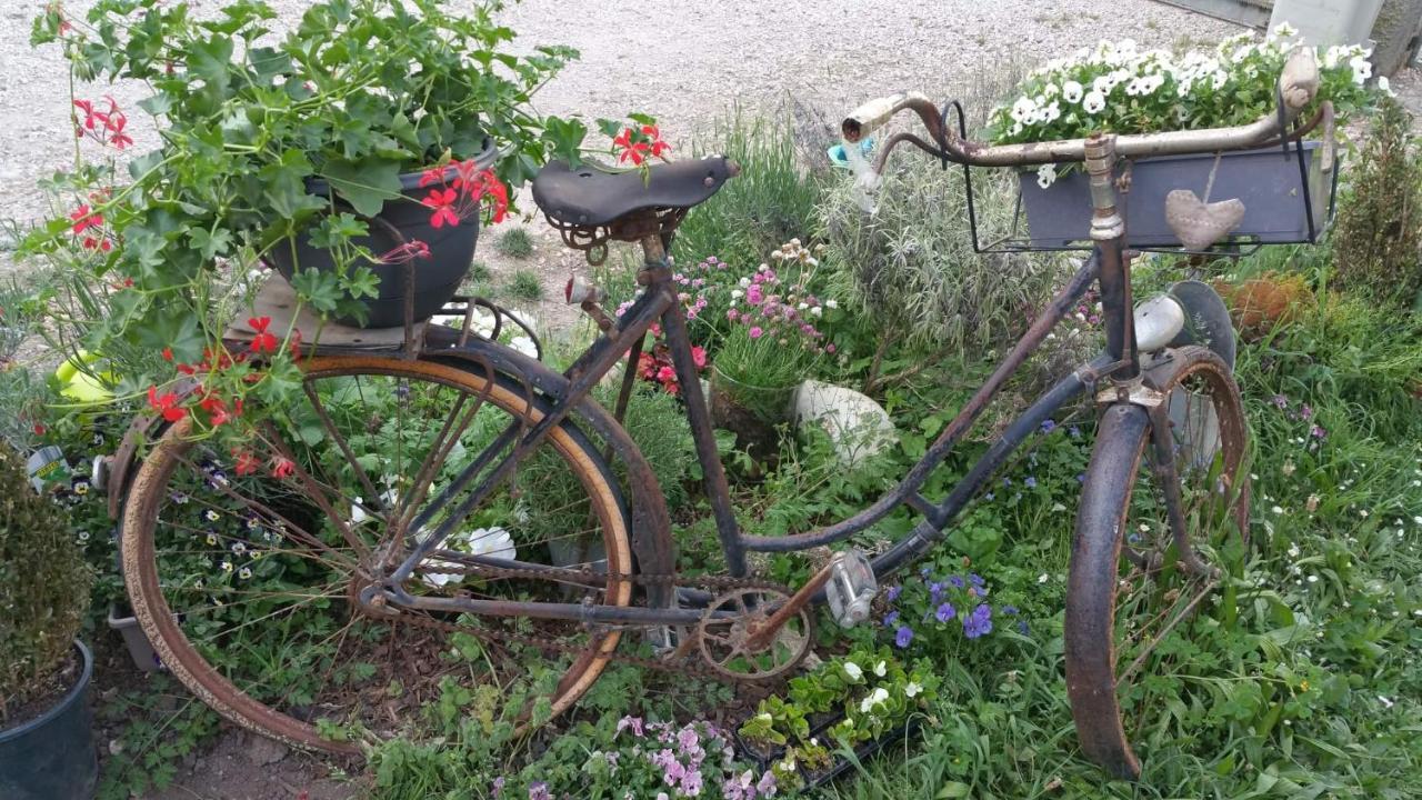Basse-Cour De Montin Au 256 Chemin De La Rocaille A 38510 Vezeronce Curtin Bed & Breakfast Morestel Exterior photo